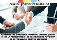 temario oposicion AUXILIARES DE ENFERMERIA. PERSONAL LABORAL (GRUPO IV) DE LA ADMINISTRACION DE LA COMUNIDAD AUTONOMA DE EXTREMADURA. TEMARIO ESPECIFICO