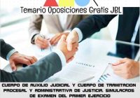temario oposicion CUERPO DE AUXILIO JUDICIAL Y CUERPO DE TRAMITACION PROCESAL Y ADMINISTRATIVA DE JUSTICIA. SIMULACROS DE EXAMEN DEL PRIMER EJERCICIO